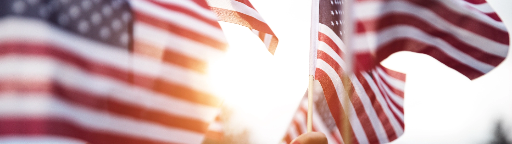 hands holding USA flags